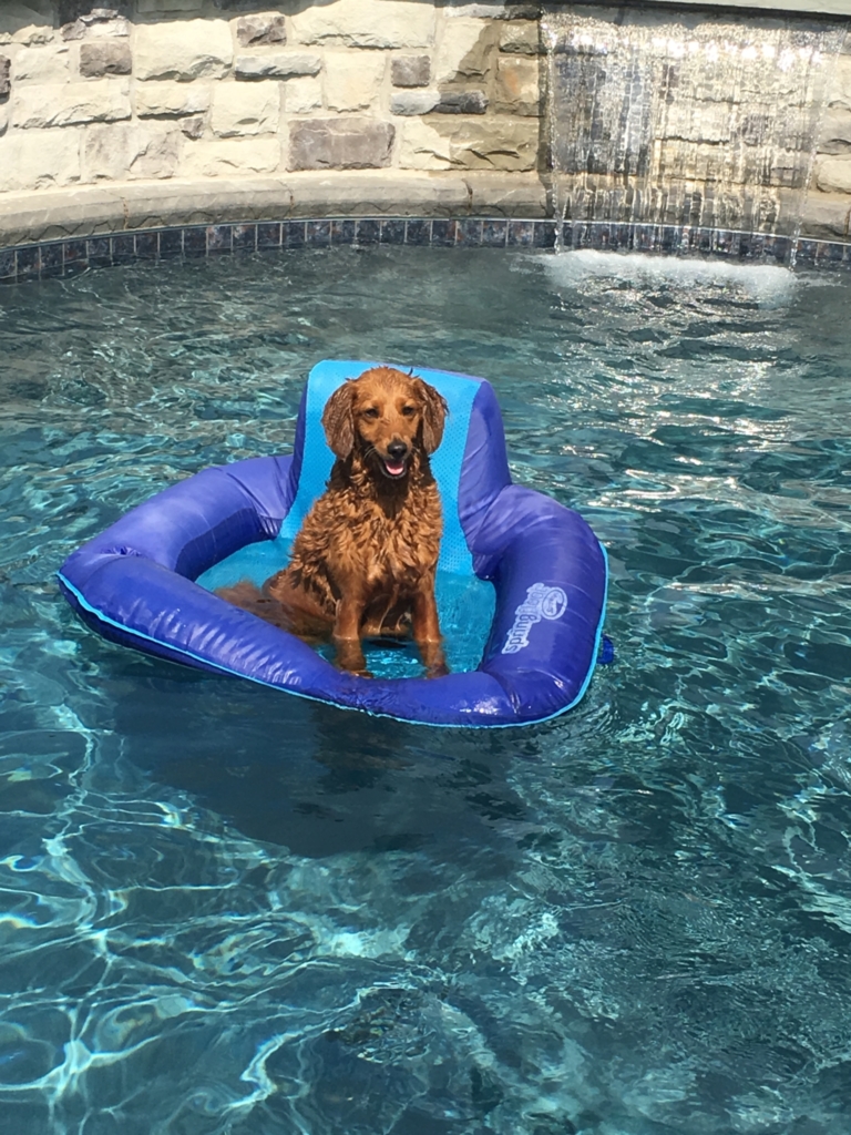 Custom Pools Gallery